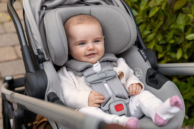 UPPAbaby Aria Infant Car Seat and Base - Stella