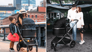 Agio Z4 vs. Peg Perego YPSI Stroller Comparison