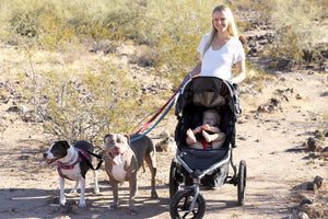 7 Arizona Moms on Blogging, Baby Gear and Parenthood