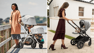 Nuna pipa lite lx with top uppababy vista