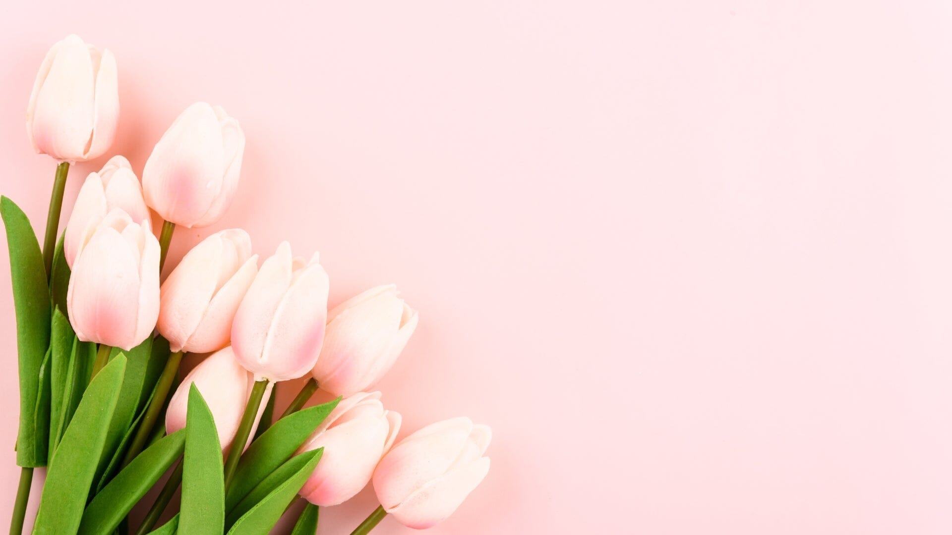 Mom Knows Best: Strolleria's Top Picks Straight from the Mamas!