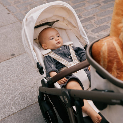 Best Strollers with Reversible Seats