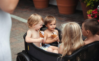 4-Seater Stroller Wagons