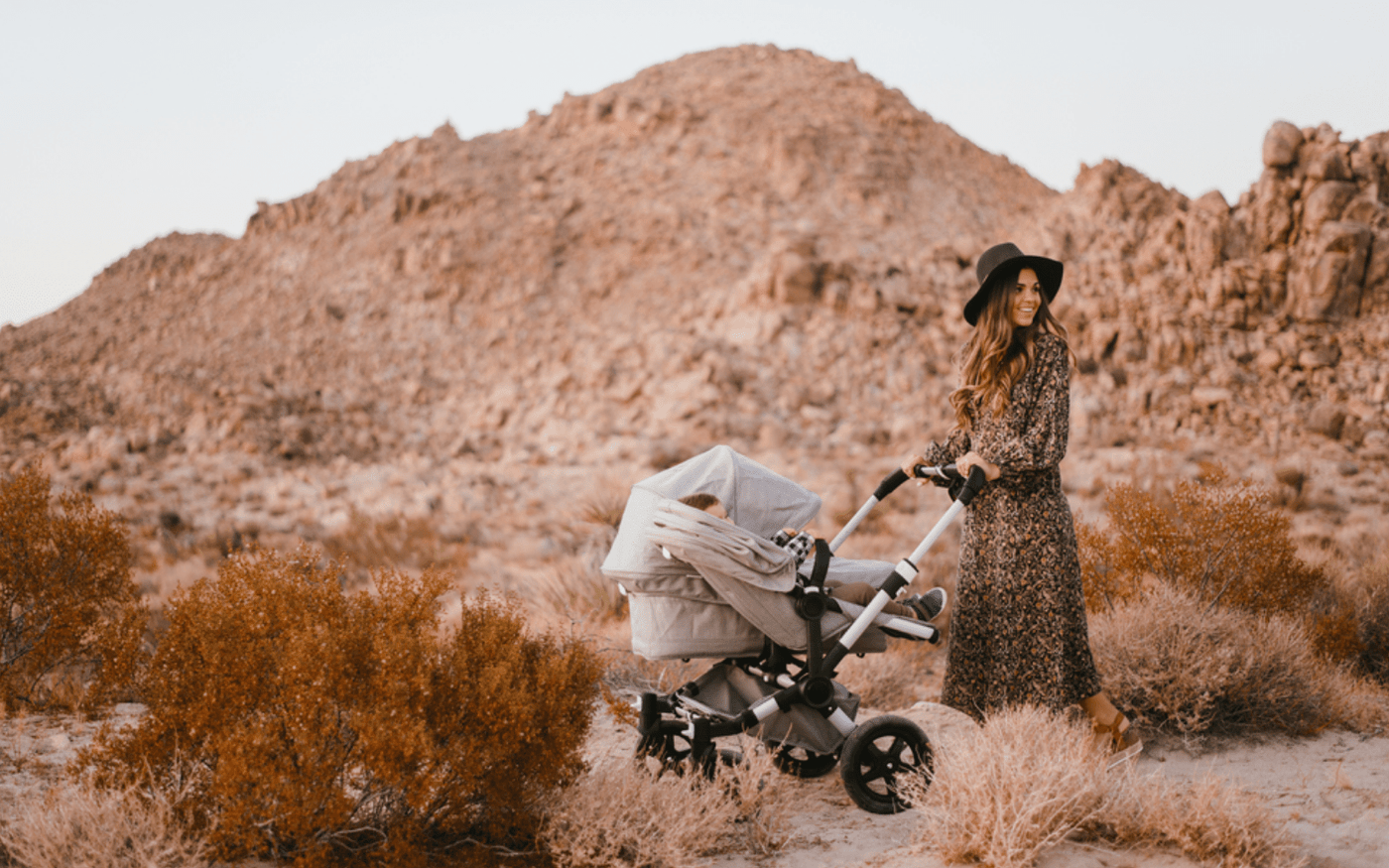 2020 Bugaboo Fox2 and Donkey3 Strollers