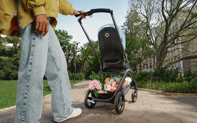 Bugaboo Dragonfly and Accessories