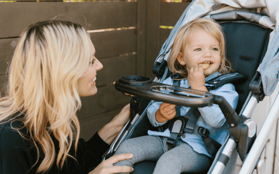 UPPAbaby Accessories