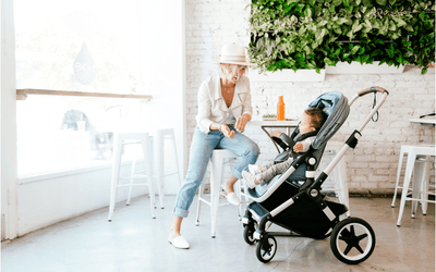 Bugaboo Lynx Stroller & Accessories