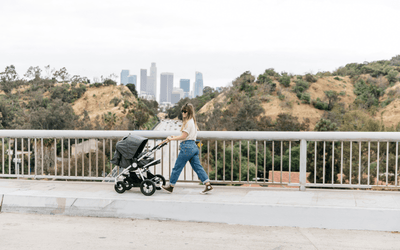 Infant Car Seats Compatible with Bumbleride Era