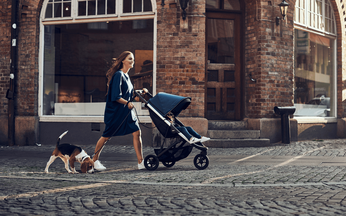 Thule Spring Stroller and Accessories