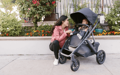 UPPAbaby VISTA in Black with Brown Leather Handle