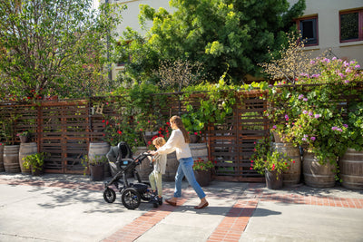 Ride Along Boards for Strollers