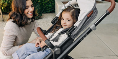 UPPAbaby Vista V3 Stroller & Accessories