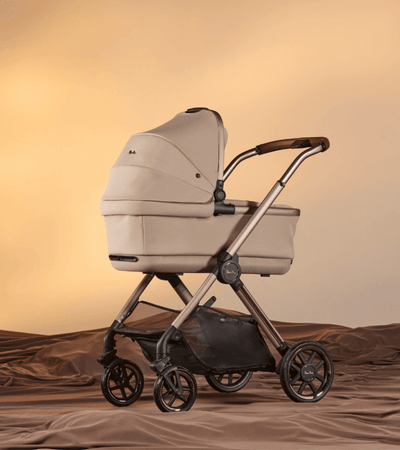 Strollers with Bassinets