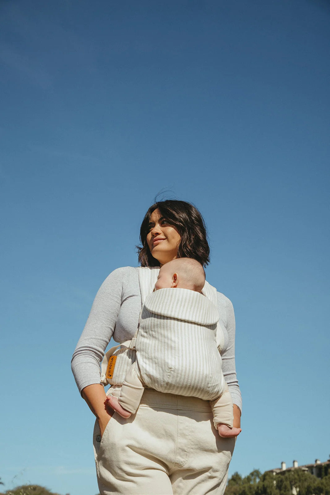 WildBird Aerial Carrier- Strolleria