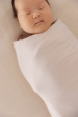 WildBird CloudBlend™ Swaddle - Galah - Bambi Baby