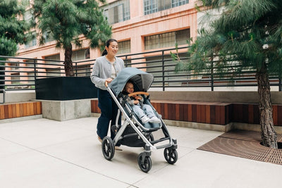 UPPAbaby Vista V3 Stroller