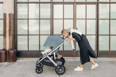 UPPAbaby Vista V3 Stroller - Coming Soon!