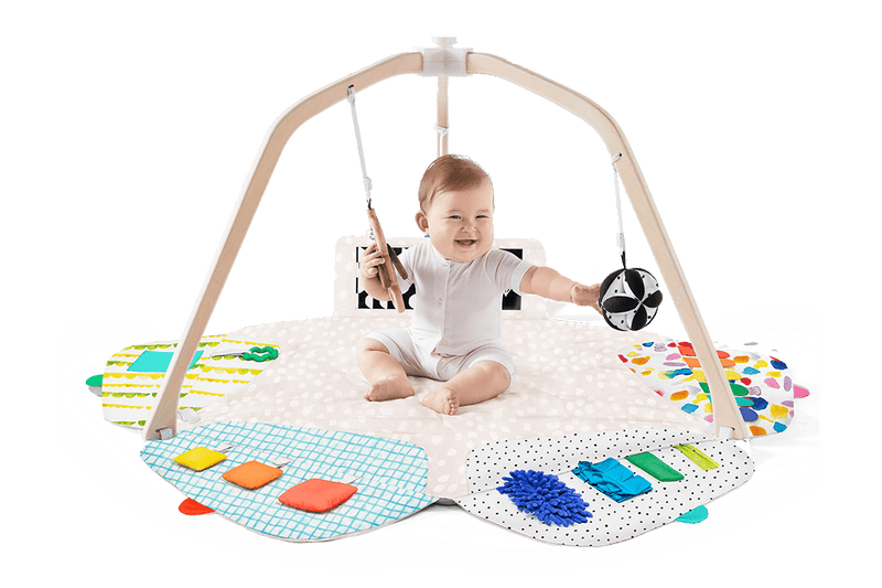 Lovevery The Play Gym