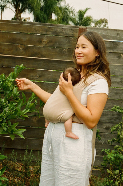 WildBird Aerial Buckle Wrap - Desert Lark