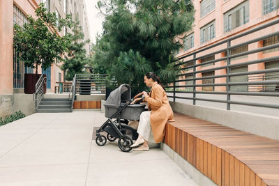 UPPAbaby Vista V3 Stroller and Bassinet Bundle - Coming Soon!