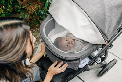 UPPAbaby Vista V3 Travel System - Aria & Bassinet