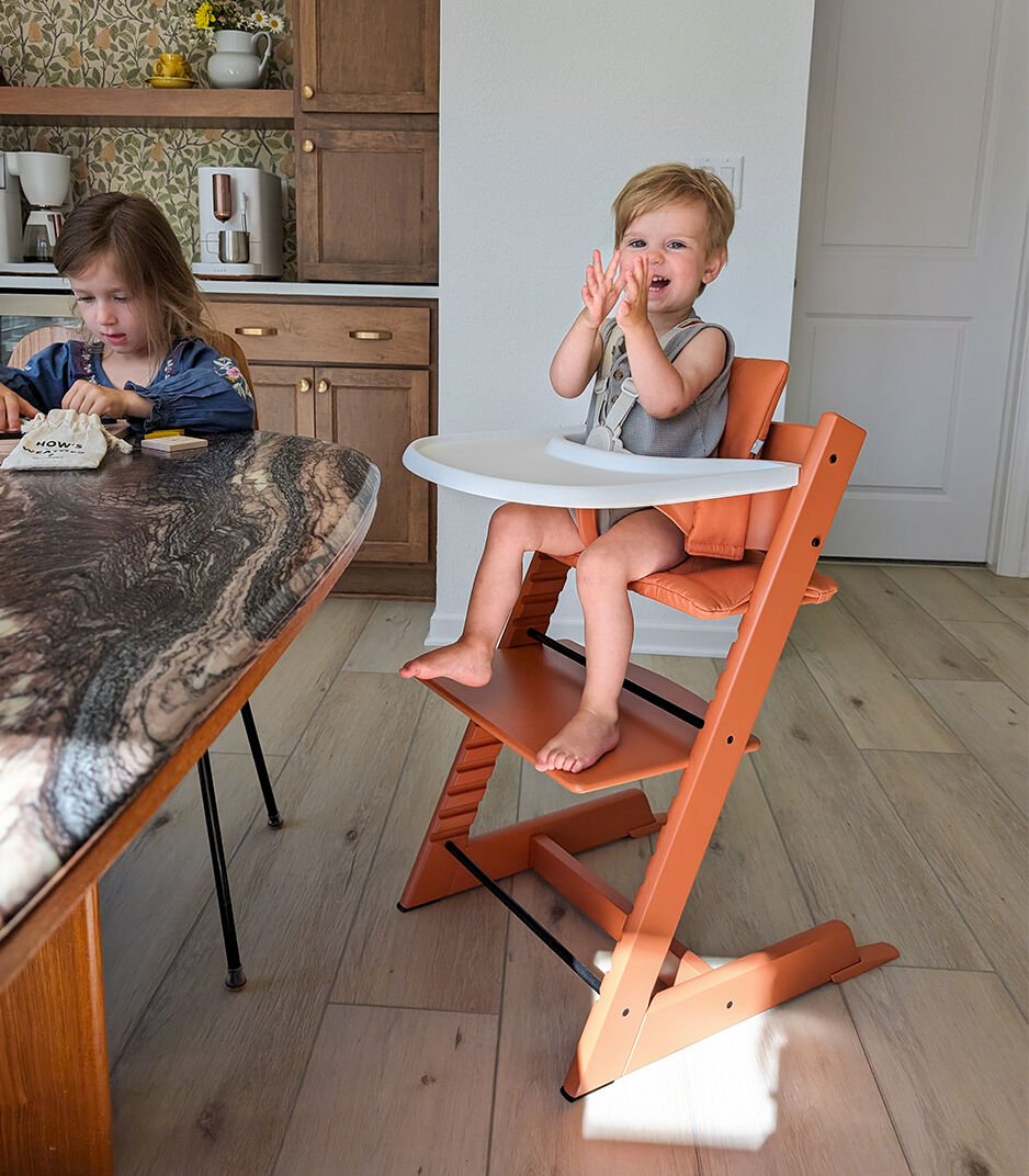 Stokke Adjustable Ergonomic Tripp Trapp Baby Set with