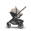 UPPAbaby Aria V2 Infant Car Seat - Bambi Baby