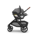UPPAbaby Mesa V3 Infant Car Seat - Bambi Baby