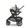 UPPAbaby Mesa V3 Infant Car Seat - Bambi Baby