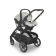 UPPAbaby Cruz V3 Stroller - Bambi Baby