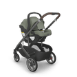 UPPAbaby Mesa V3 Infant Car Seat - Bambi Baby