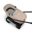 Bugaboo Dragonfly Plus Seat/Bassinet Complete - Bambi Baby