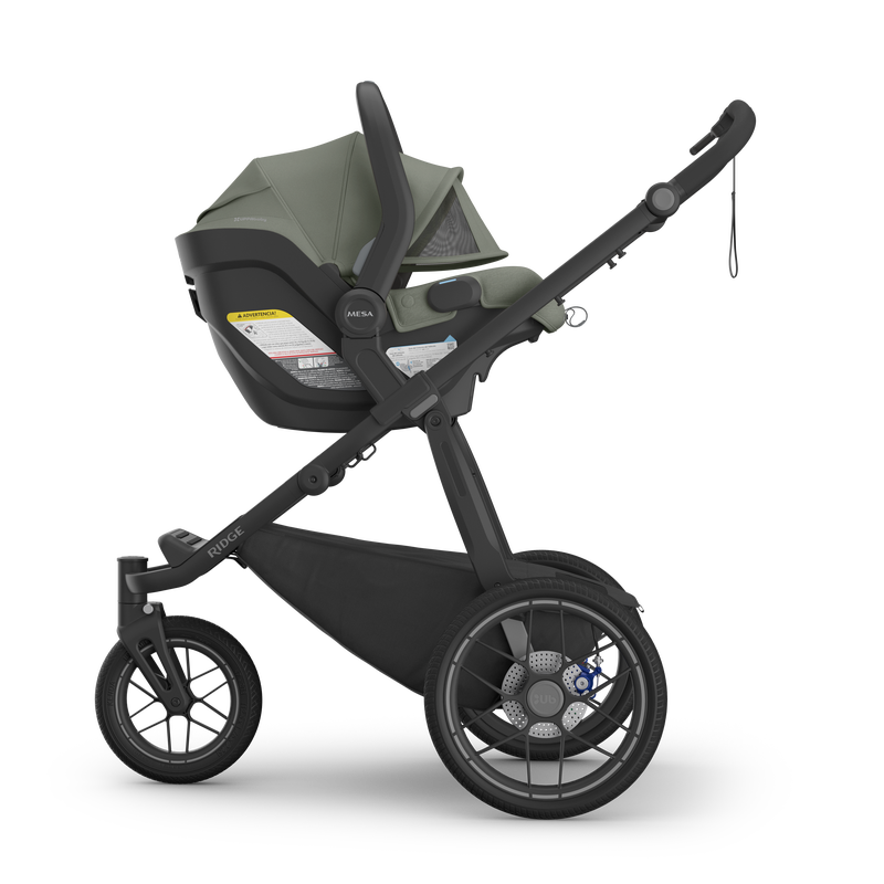UPPAbaby Ridge V2 Stroller- Strolleria