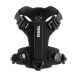 Thule Dart Harness - Bambi Baby