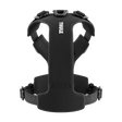 Thule Dart Harness - Bambi Baby