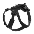 Thule Dart Harness - Bambi Baby