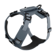 Thule Dart Harness - Bambi Baby