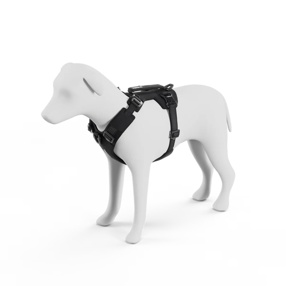 Thule Dart Harness- Strolleria