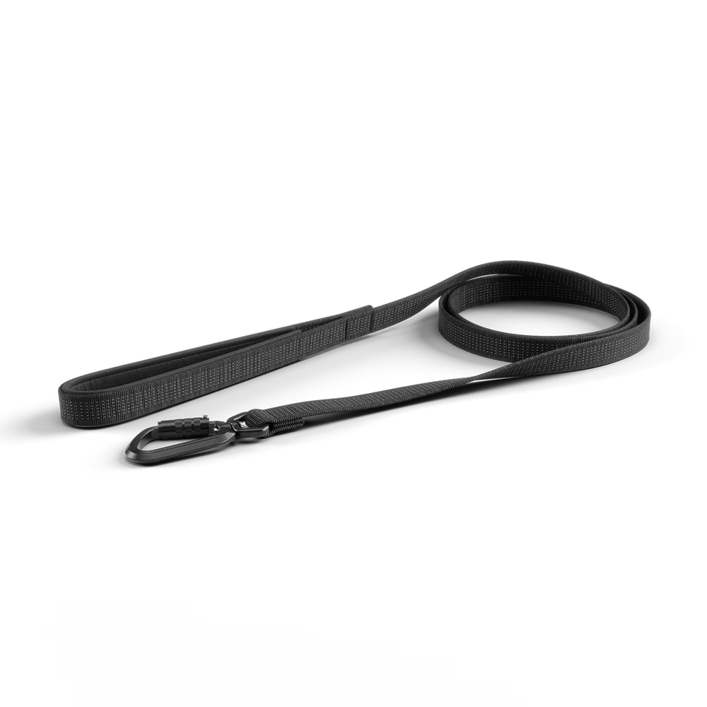 Thule Dart Leash- Strolleria
