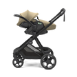 Thule Charm Car Seat Adapters - Bambi Baby