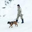 Thule Dart Leash - Bambi Baby