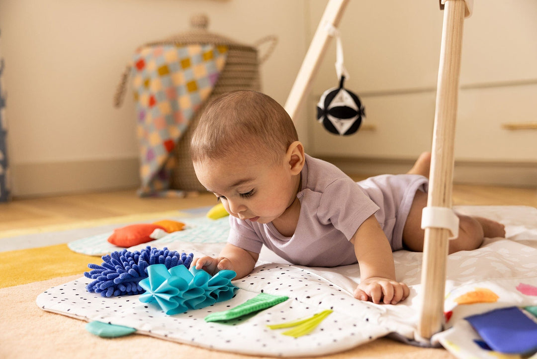 Lovevery: ベビージム Lovevery The Play Gym – Albee Baby