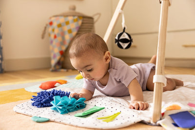 Lovevery The Play Gym