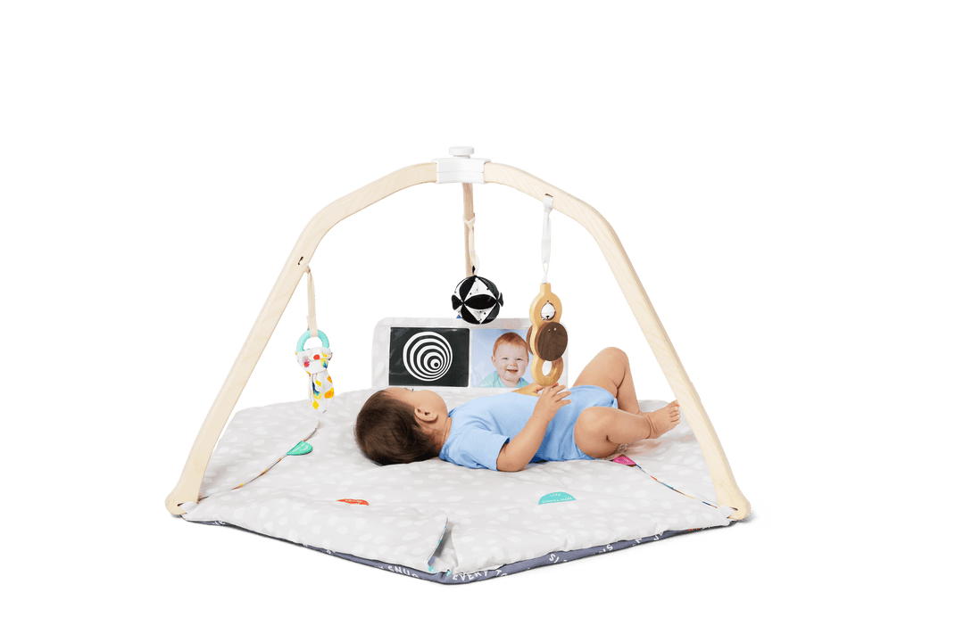 Lovevery The Play Gym