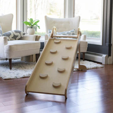 Little Partners 2-in-1 Learn 'N Slide/Climb- Strolleria
