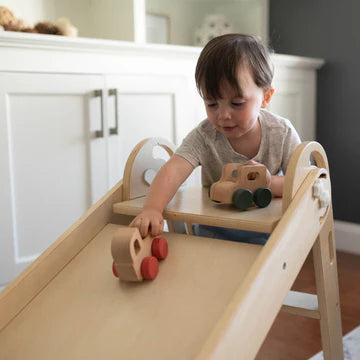 Little Partners 2-in-1 Learn 'N Slide/Climb- Strolleria