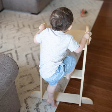 Little Partners 2-in-1 Learn 'N Slide/Climb- Strolleria