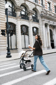 UPPAbaby Kona Stroller - Bambi Baby