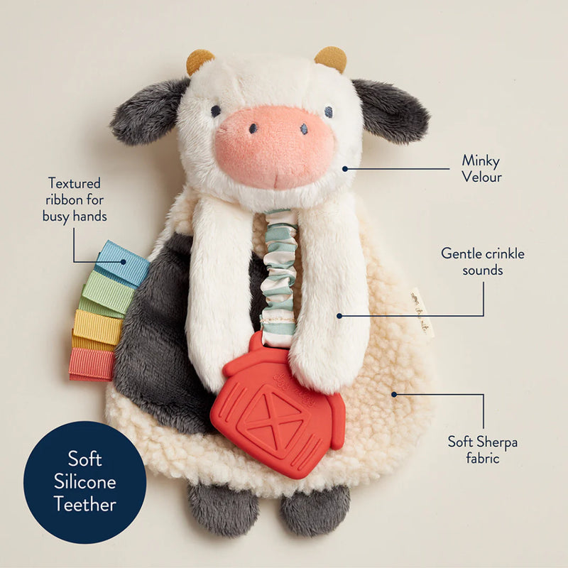 Itzy Ritzy Lovey™ Plush And Teether Toy