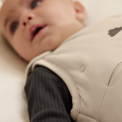 Snuz SnuzPouch Sleeping Bag - Sand Cloud